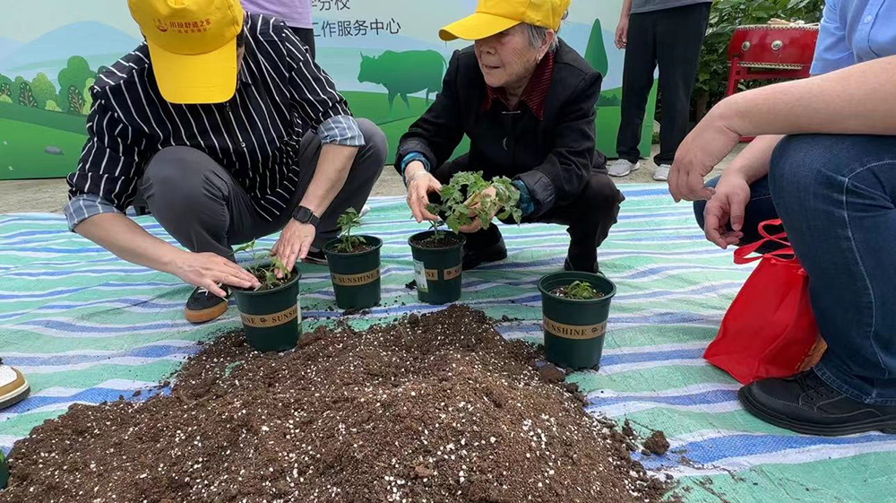 【川投盛榉】川投盛榉公司党支部与成都市磨子桥小学开展春耕播种活动 5.jpg